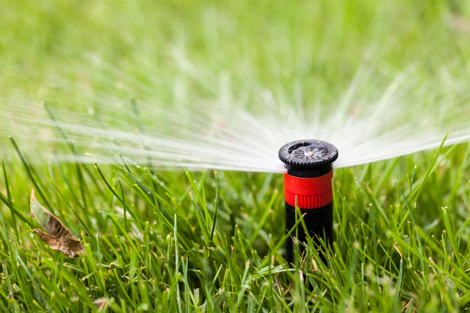 Landscape Irrigation - Underground sprinklers Edmonton. Save time water andmoney by installing  it.