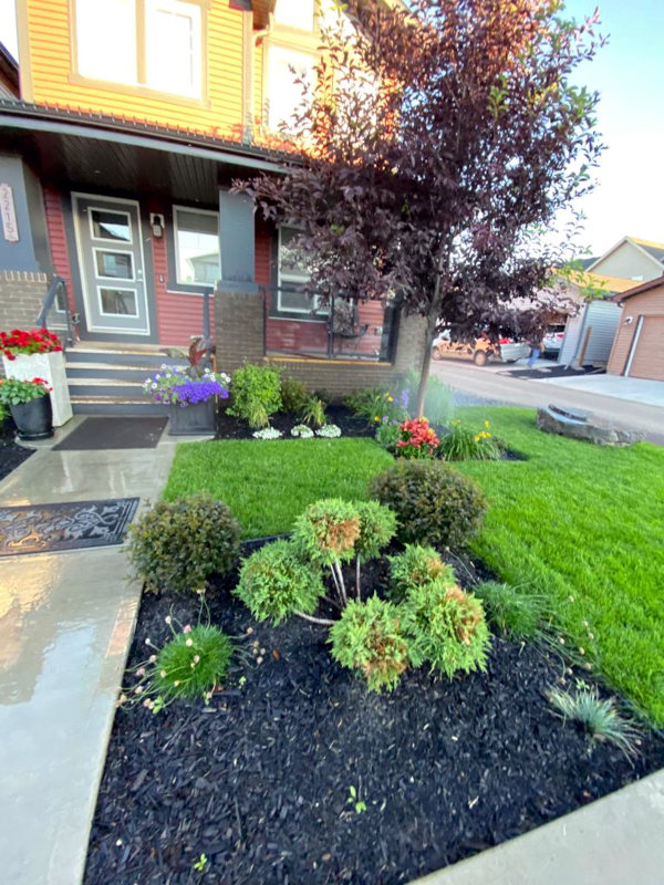 My landscaping offer all type of landscaping services to sherwood park. Including pruning, lawn work, irrigation, weed control and many more