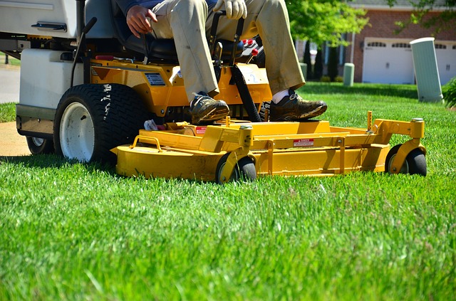 Lawn care service includes weeding, rolling, mowing, sweeping, watering, fertilizing