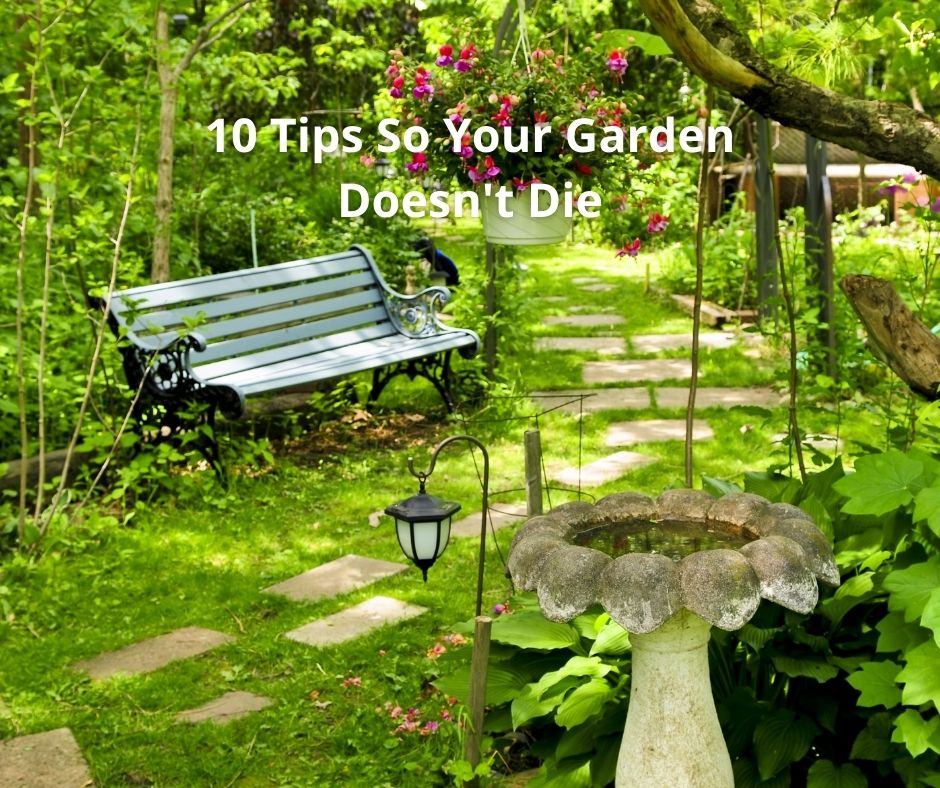 11 Tips So Your Garden Doesn't Die