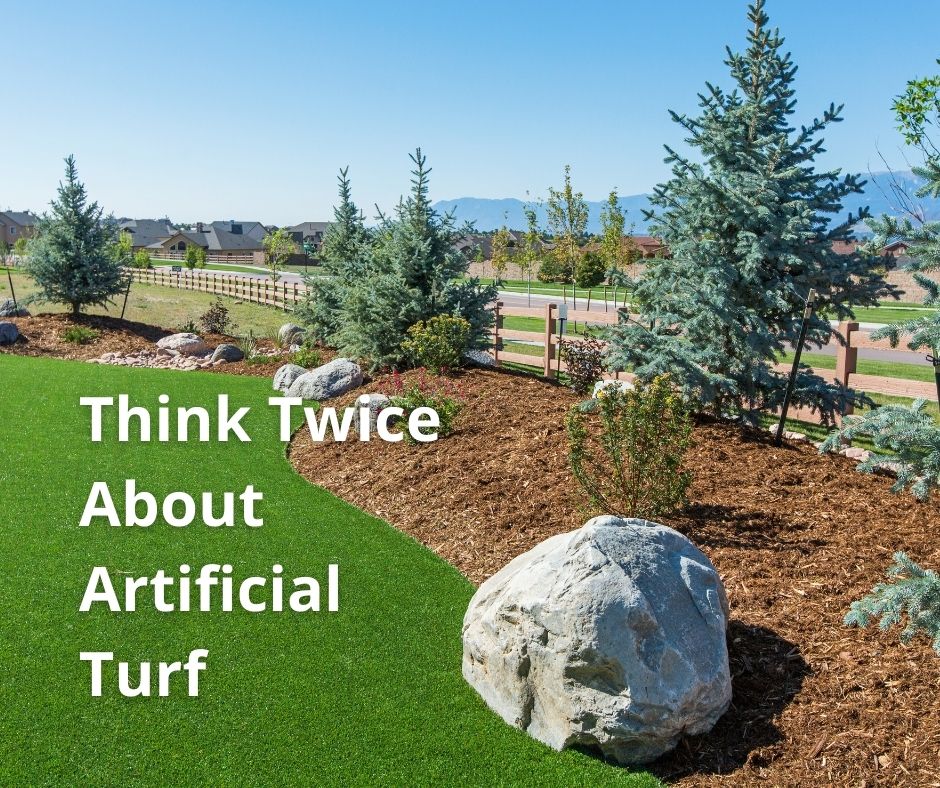 Think Twice About Artificial Turf
