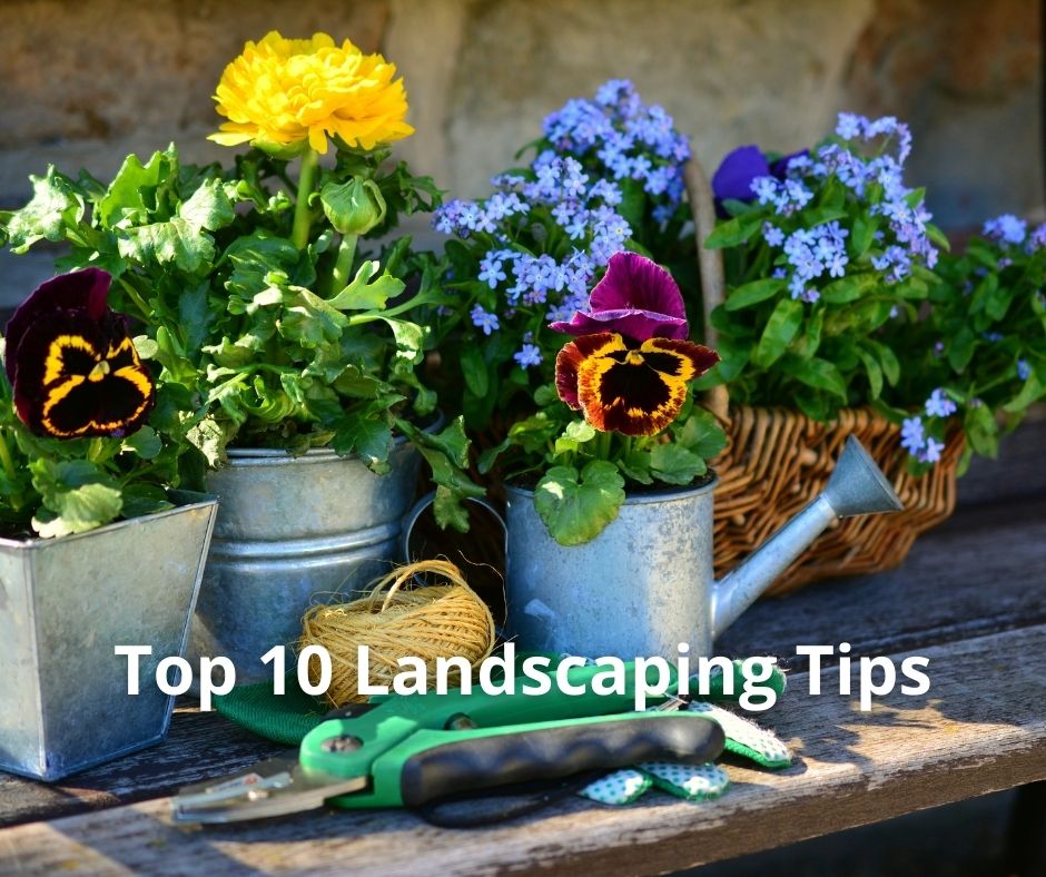 Top 10 Landscaping Tips by My Landscaping