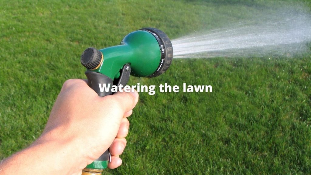 Lawn care: Watering the lawn