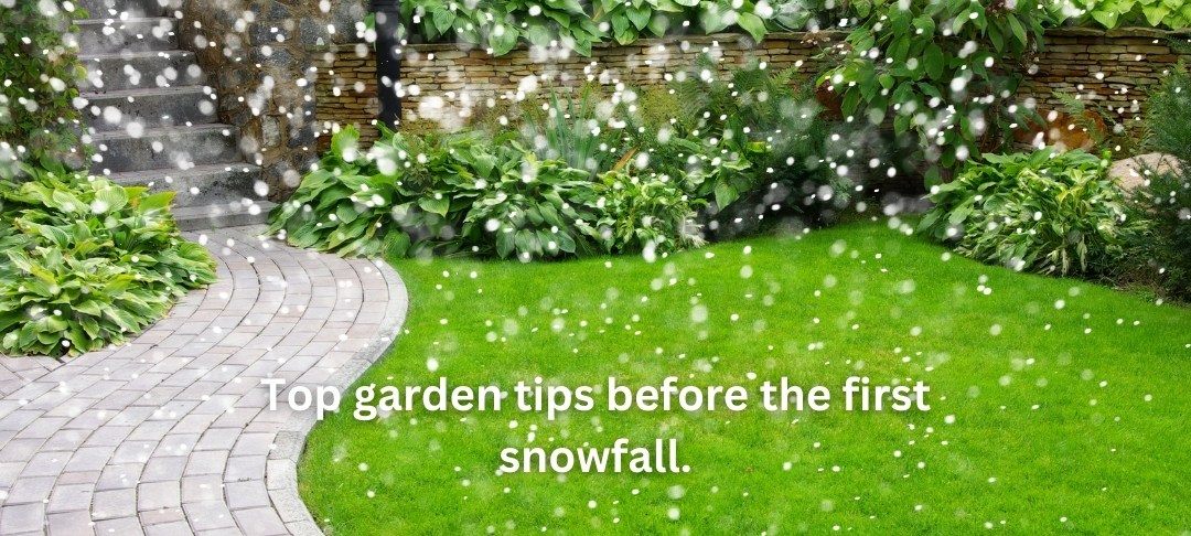 Top garden tips before the first snowfall.