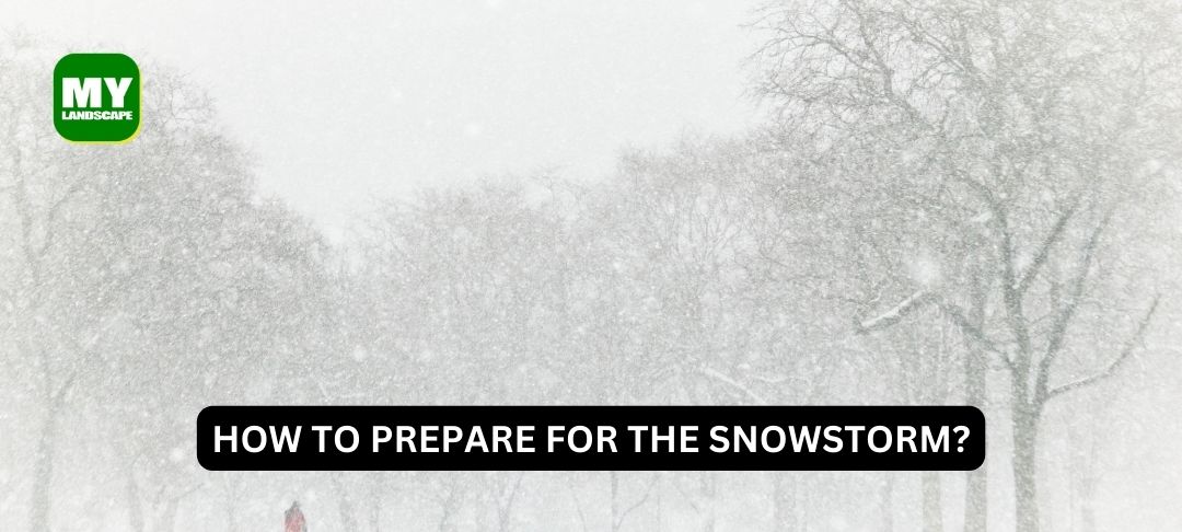 How to prepare for the snowstorm?