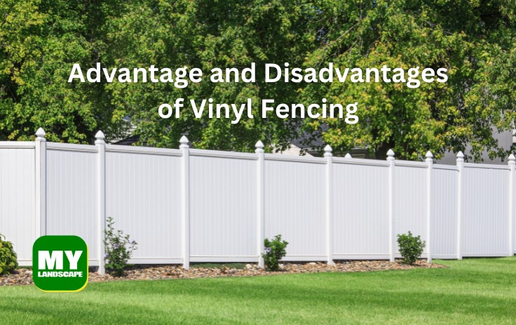 Advantage and Disadvantages of Vinyl Fencing