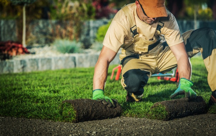 Essential Landscaping Services for Your Edmonton Home